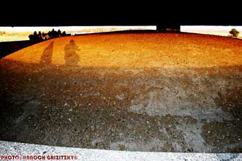 IMG_ (10989)